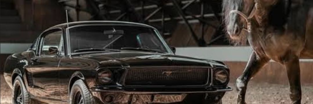 Jordayn D Fisher banner