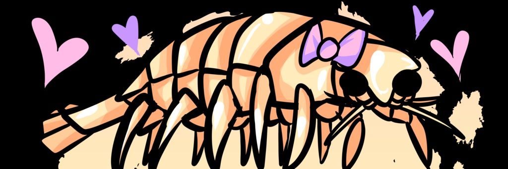 Magical Isopod banner