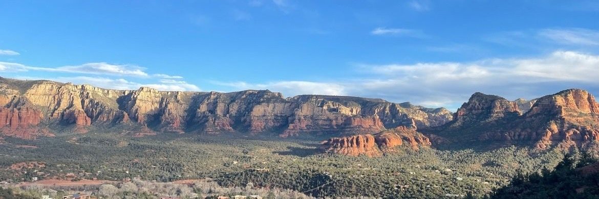 Ron Watkins CMZ banner