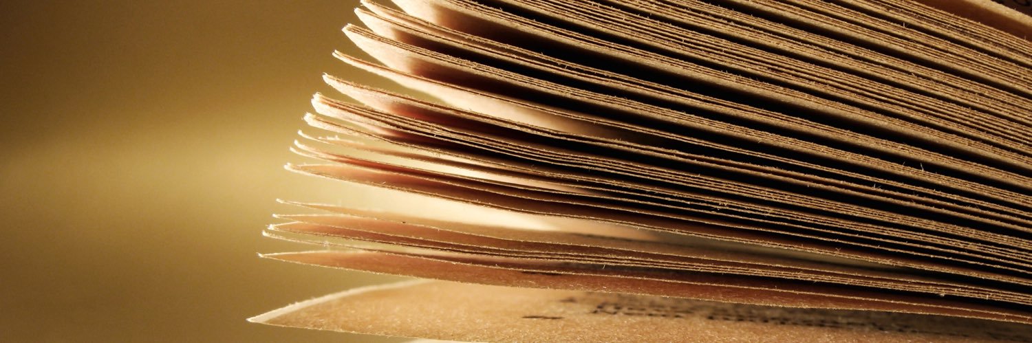 booksireview's profile banner image
