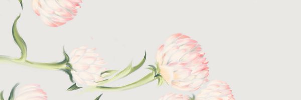 nichepear Profile Banner