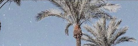 Dea banner