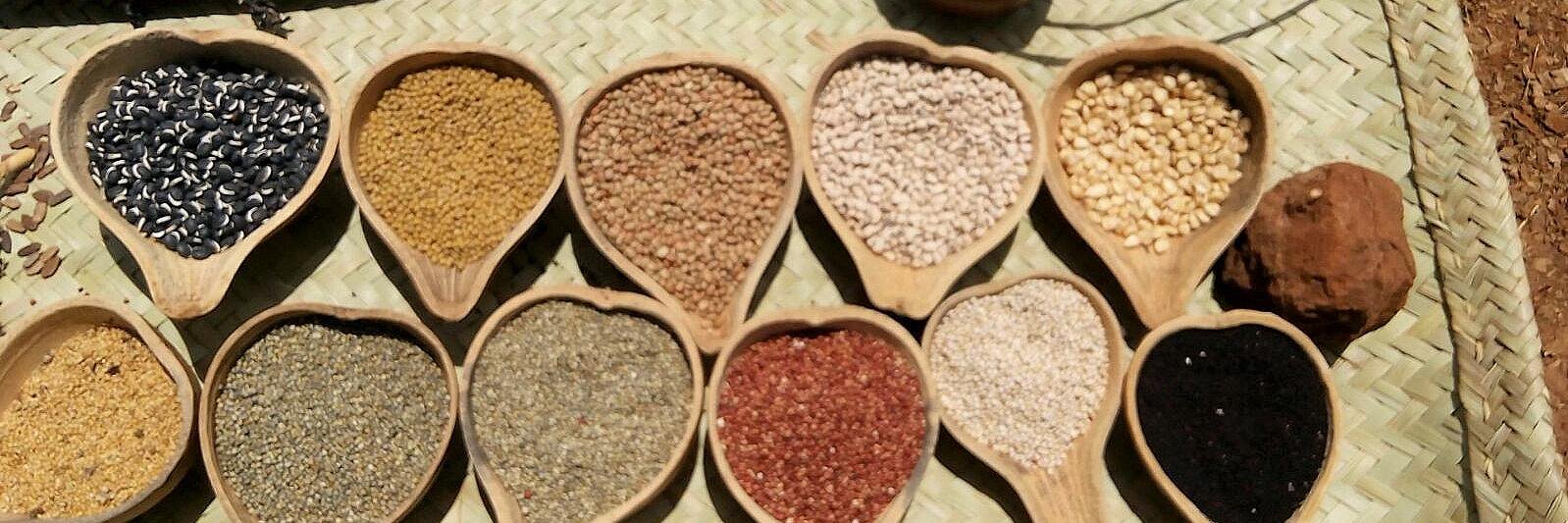 Wangũi wa Kamonji banner