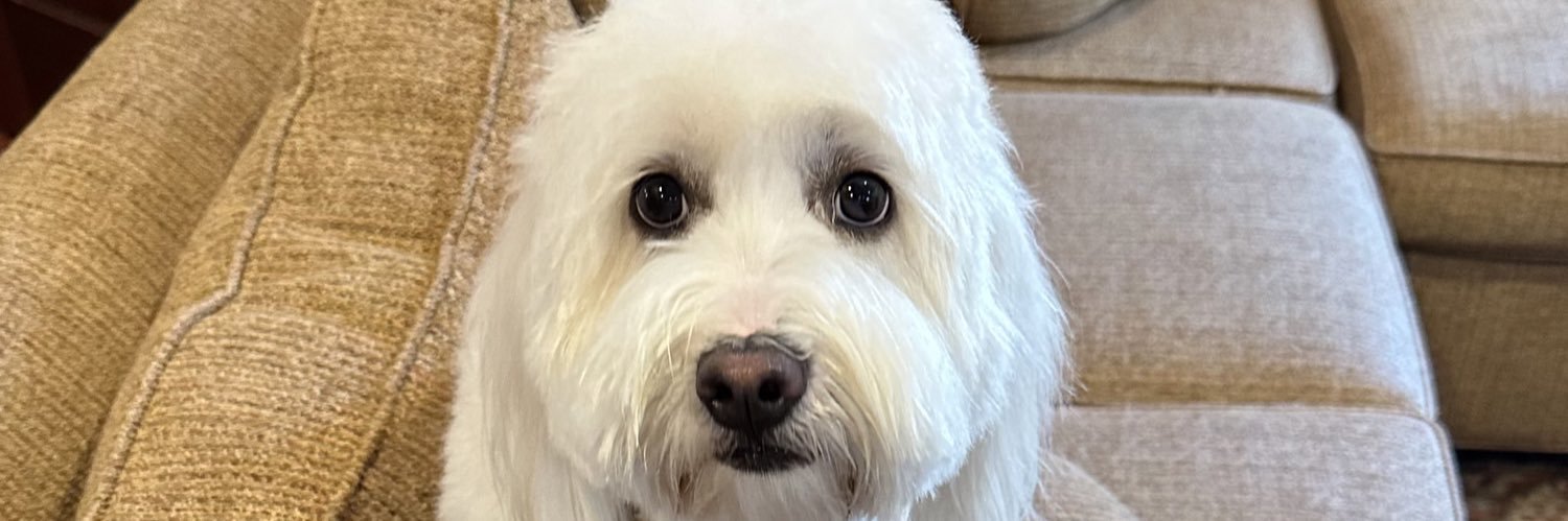 Ed Clinton Jr banner