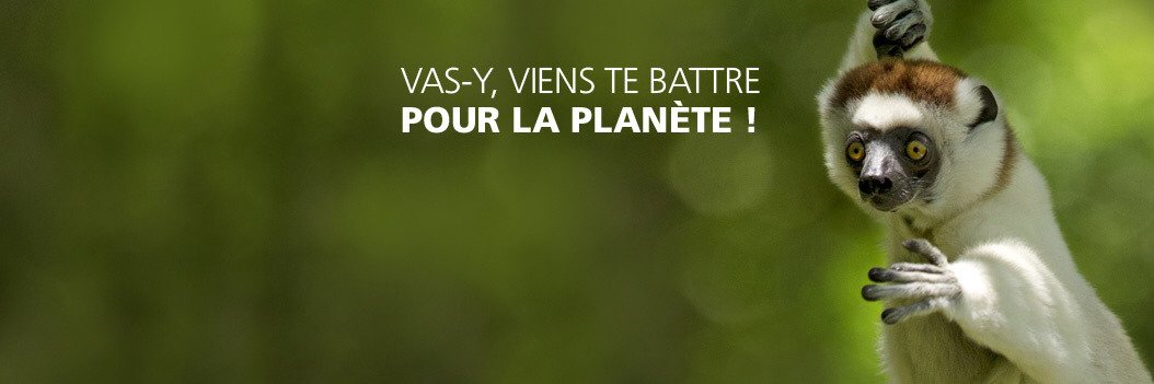 Katia LEFEUVRE banner