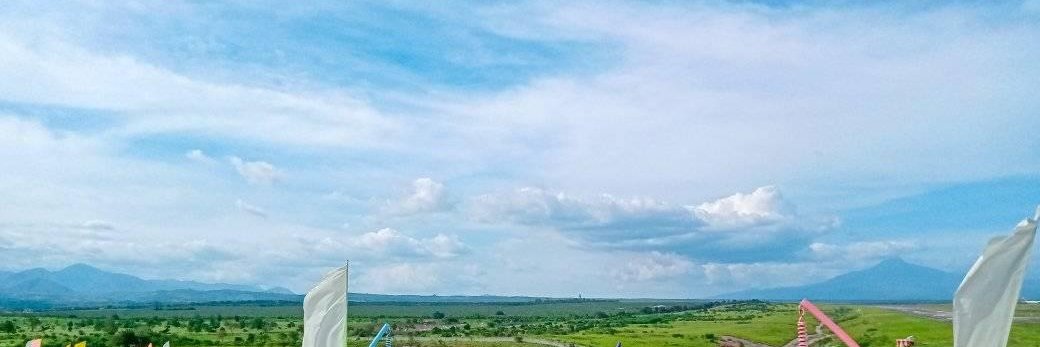 dreeii is sus~ banner