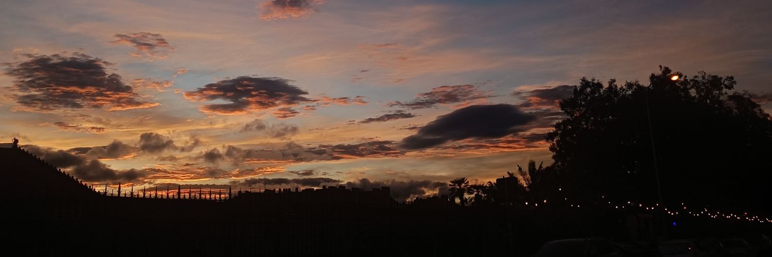 lysub21's profile banner image