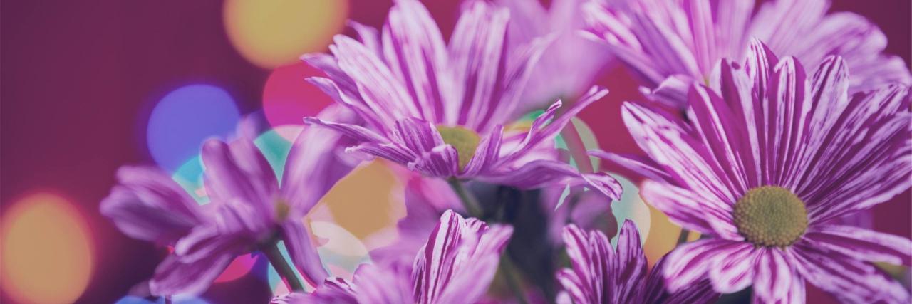 JillMaugham's profile banner image