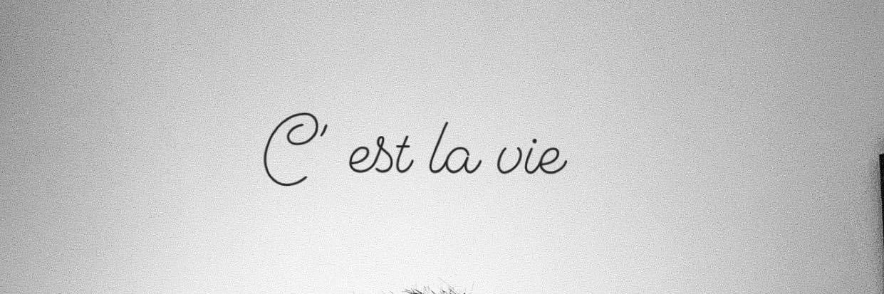 Paddy.🏳️‍🌈 🪬🦩 banner