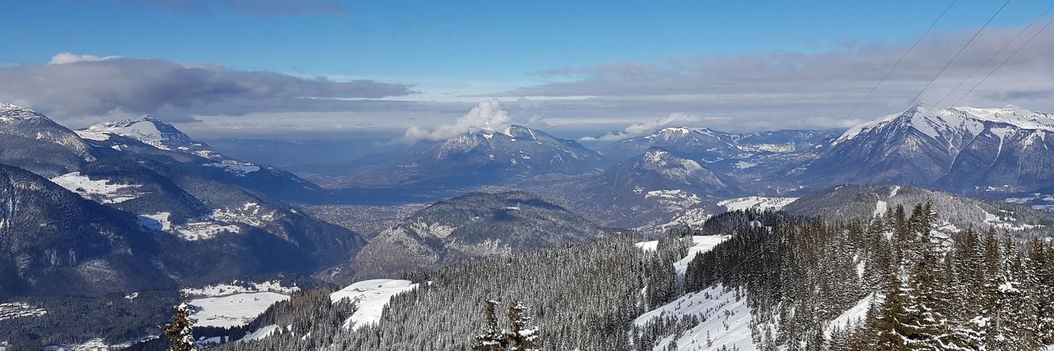 LoveT #FBPE Rejoiner🇪🇺🇺🇦🇬🇧💙 banner