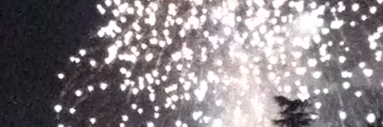 bugaboo_baller's profile banner image
