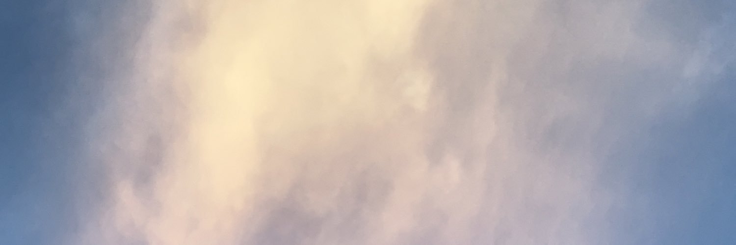 meredithmalje's profile banner image