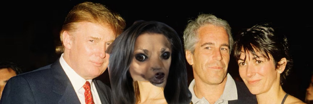 biggestdavewise's profile banner image