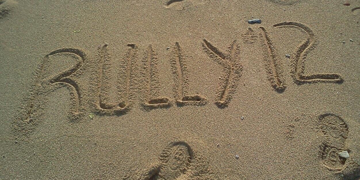 iRully iNyubon™ banner