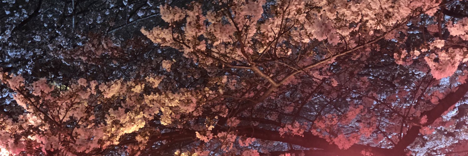 nanami53502127's profile banner image