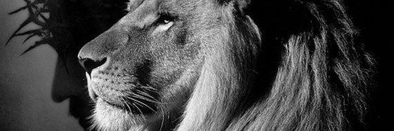 JulienCpr's profile banner image