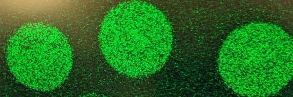 CGM_NCL Profile Banner