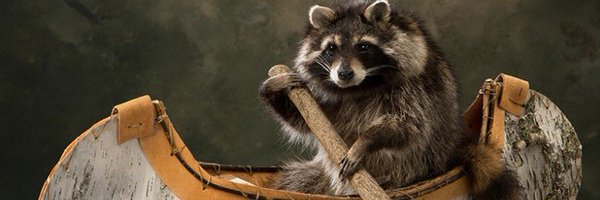 Bongo_Muchacho Profile Banner