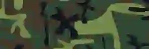 ikbros2000's profile banner image