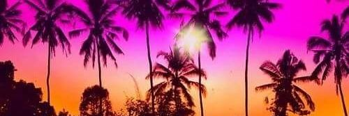 isabel conde banner