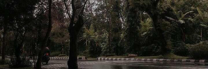 99zji's profile banner image