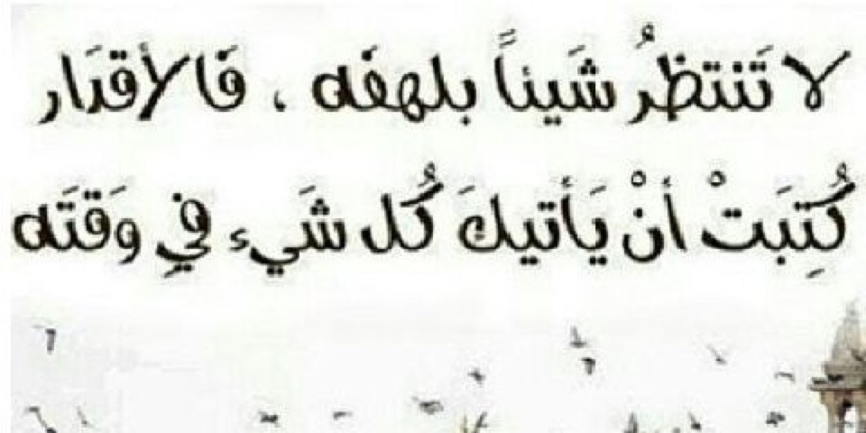 Rashedaldossar1's profile banner image