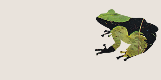 RSPBLiverpool's profile banner image