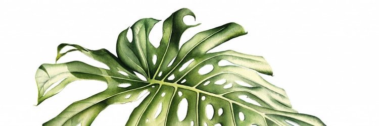 ImMissJJ's profile banner image