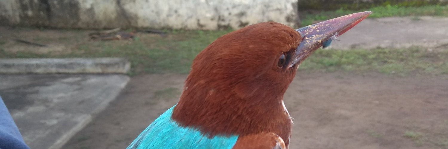 🇮🇳Ajit Singh🇮🇳 banner