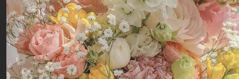 sunshine_biaki's profile banner image