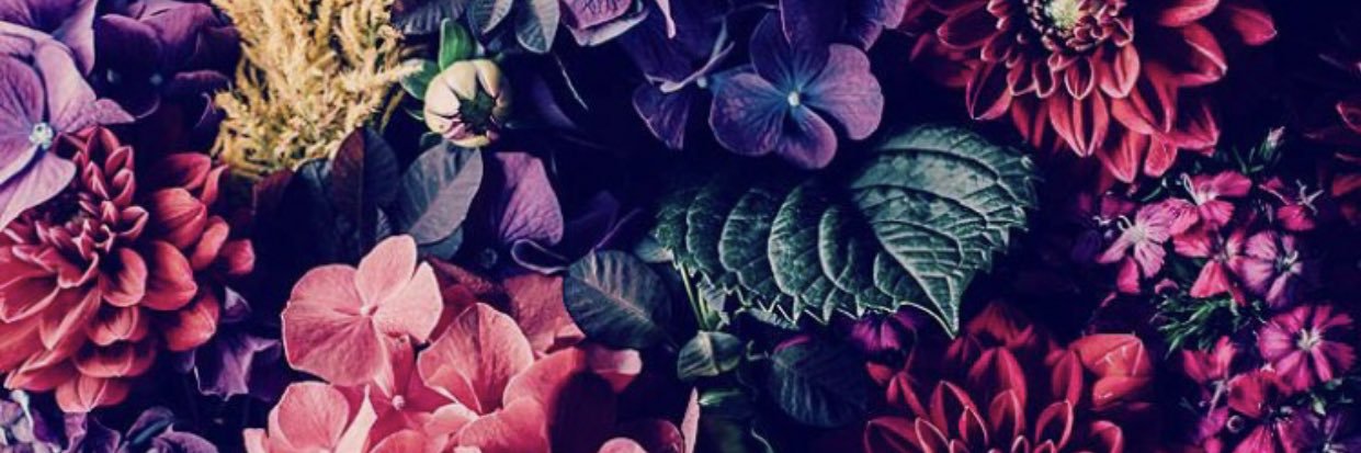 Lindsay Kay🥀 banner