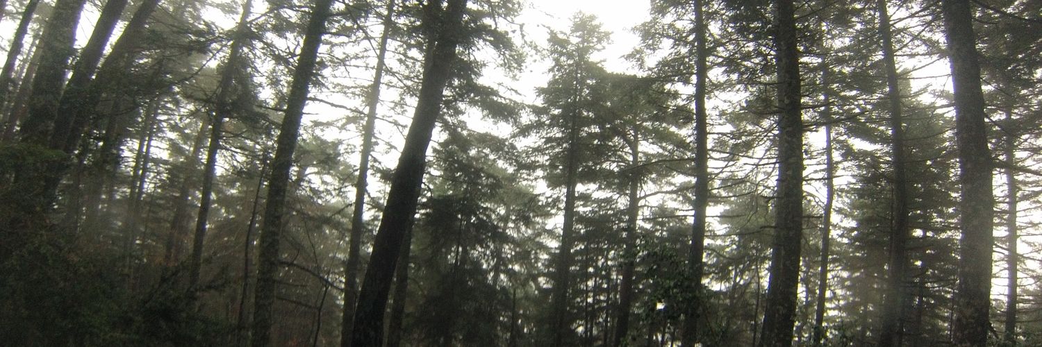 MiMoWorLd's profile banner image