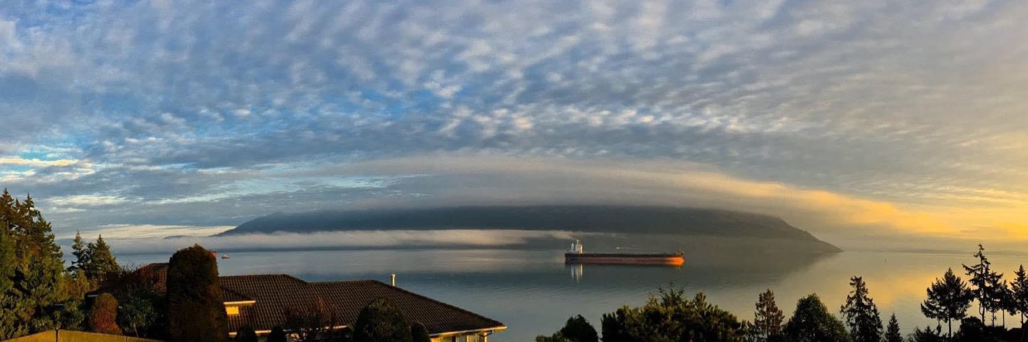 Dual Citizen Sharon🐝🇨🇦🇺🇸 banner