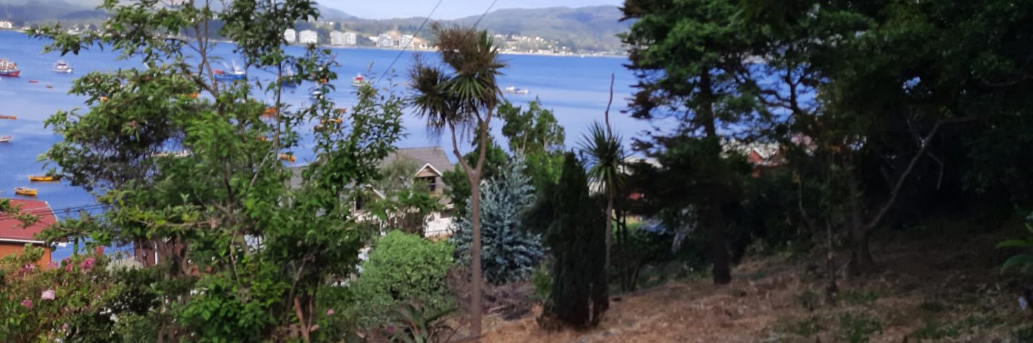 Feña_Profesor_Filosofía banner