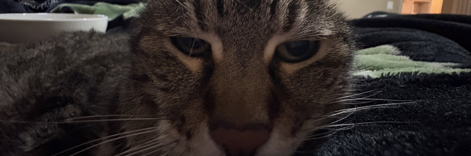 xbsteezy's profile banner image