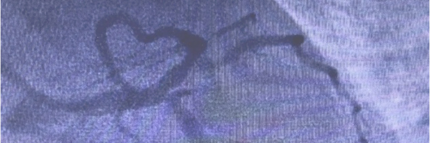 Helle Søholm's banner