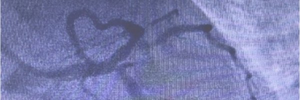 HelleSoholm Profile Banner