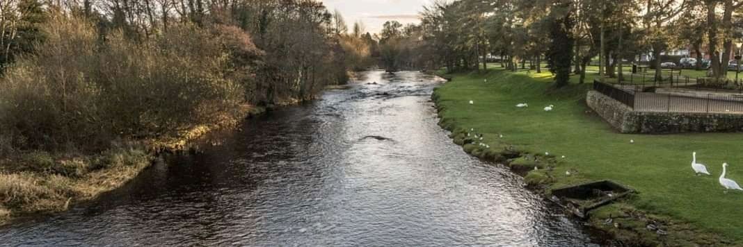 InkTank Writing Group banner