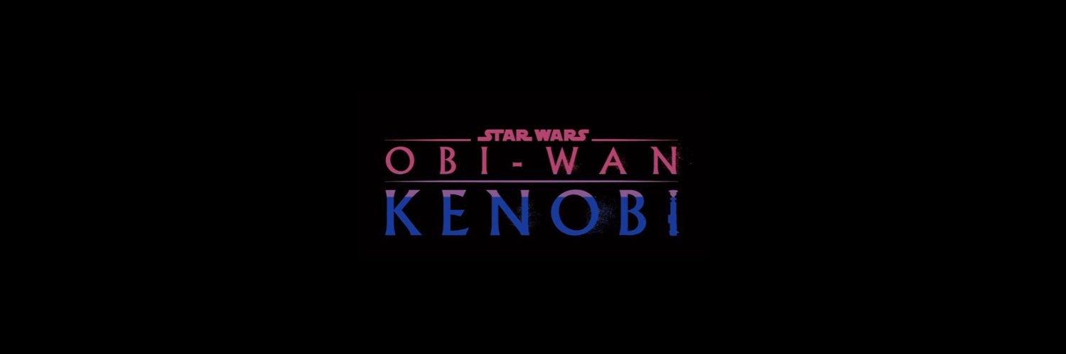 Seb the idiot banner