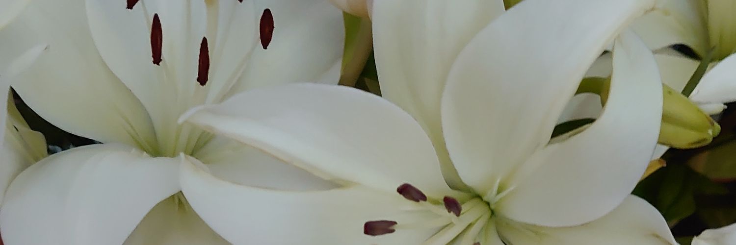 cranley_s's profile banner image
