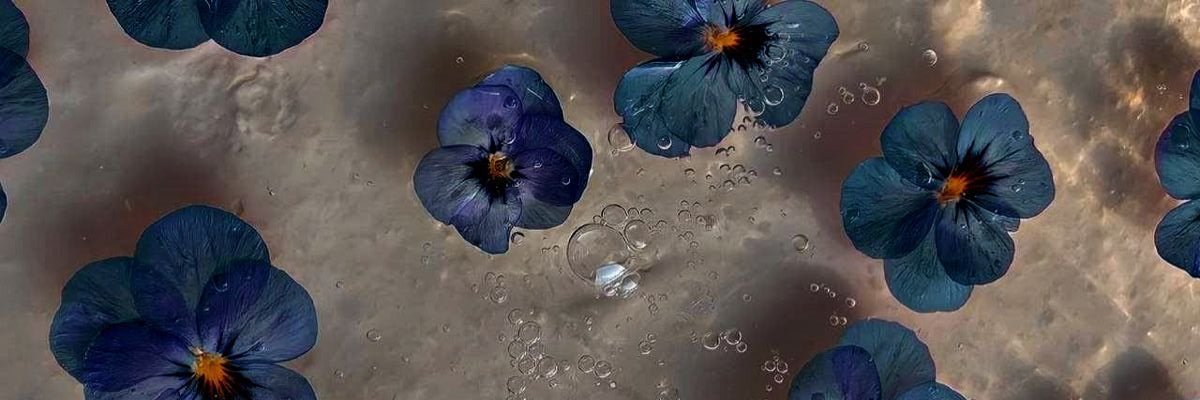qilinlord's profile banner image