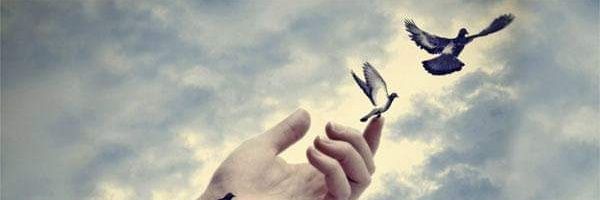 Beth22360890's profile banner image