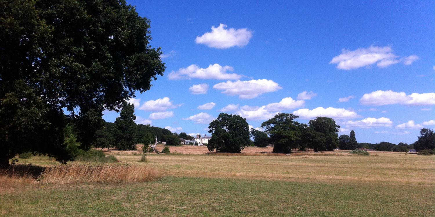 Catton Park Norwich banner