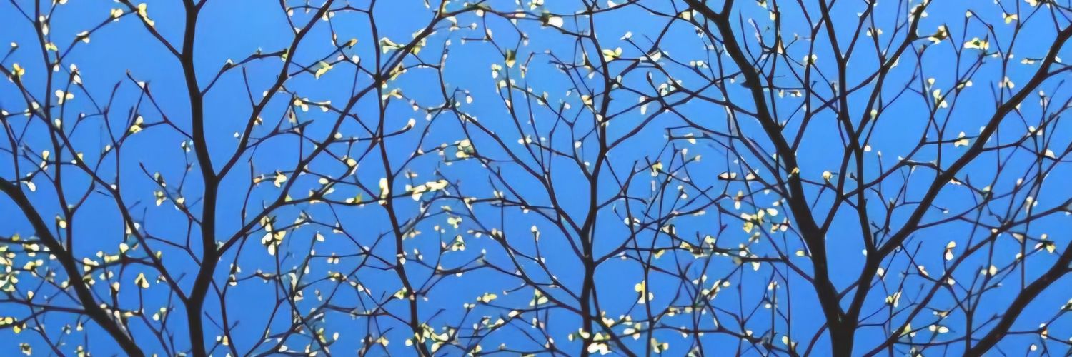 Patriot 🔸️ banner