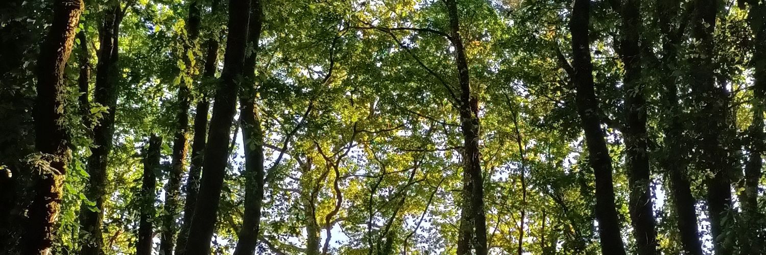larapeillet's profile banner image