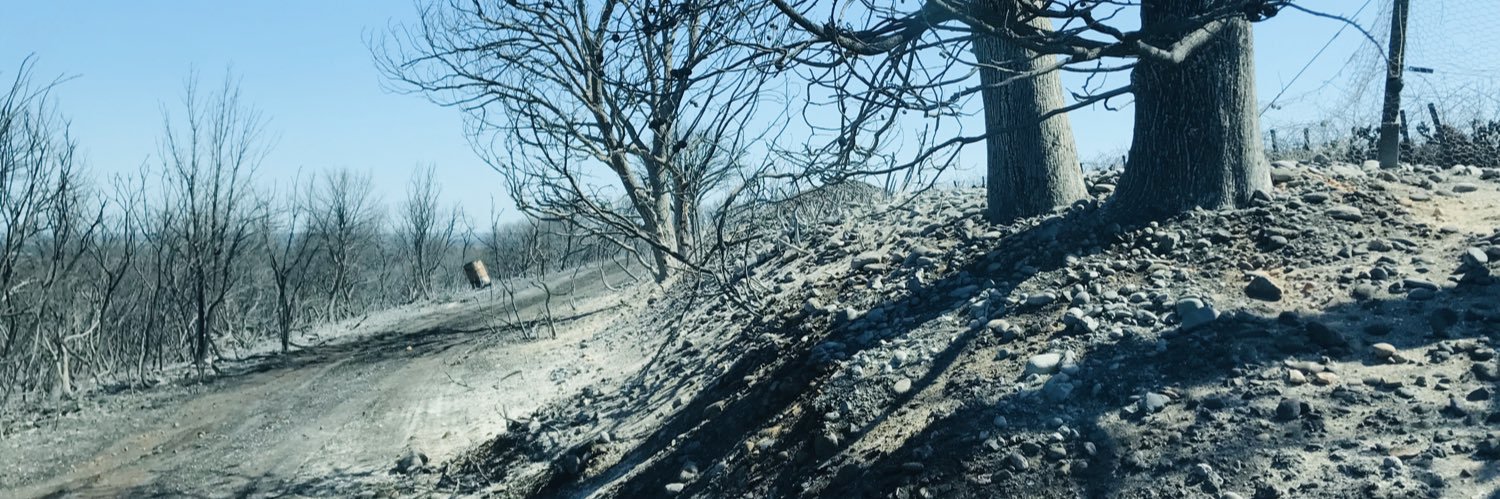 Florence de Juvigny banner