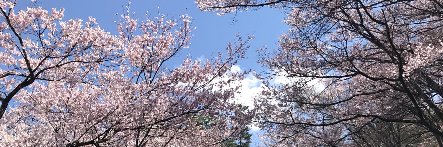 taji1972's profile banner image