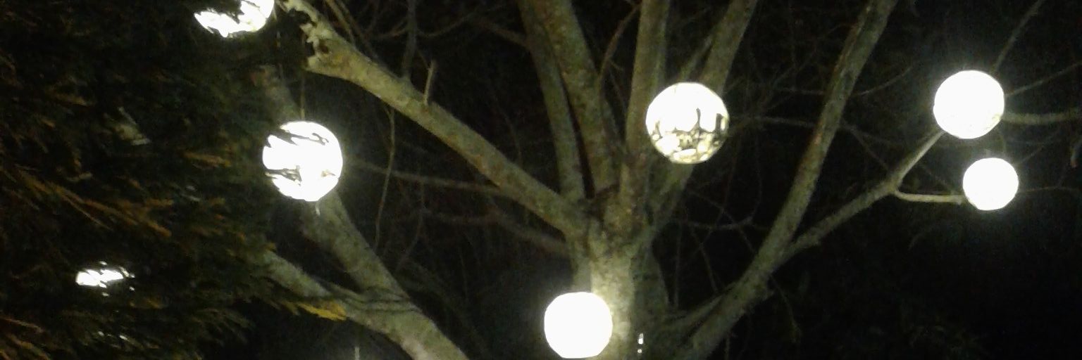 KarLIN_20's profile banner image