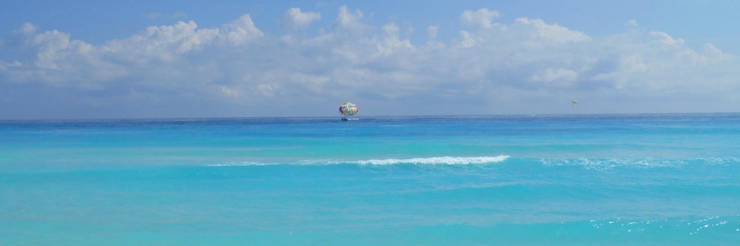 Trixie ⚽️🫖✈️🏁🏖️ banner