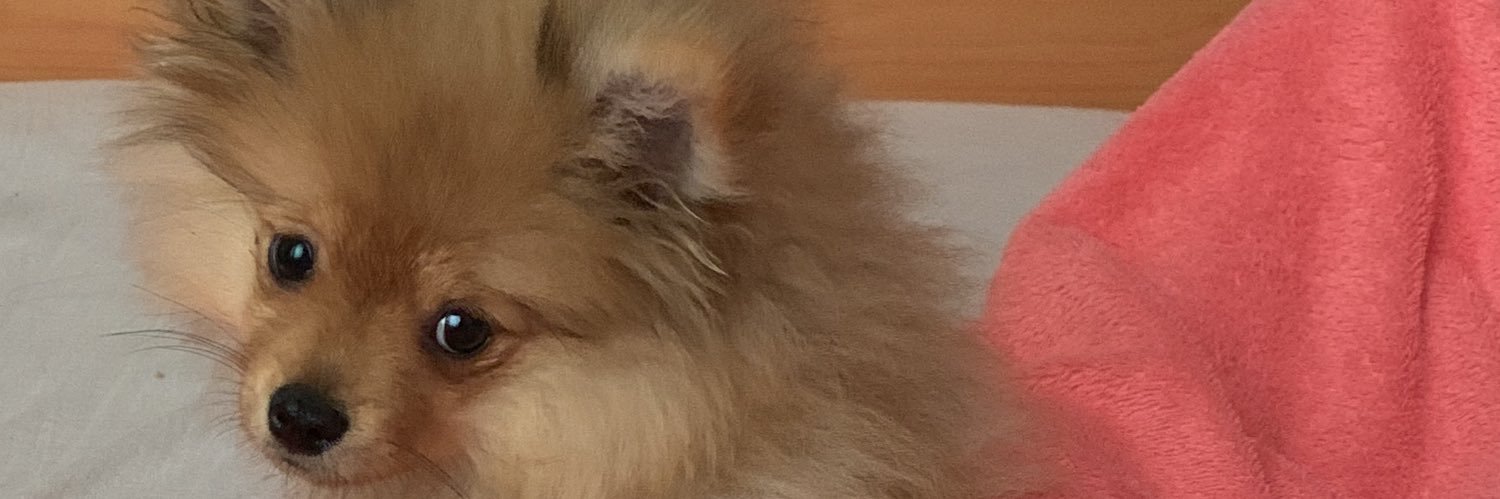 MargMarg_'s profile banner image